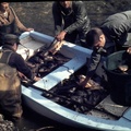 Pêche au Hotu (1976)