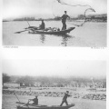 Pêche à l'épervier (1900)
