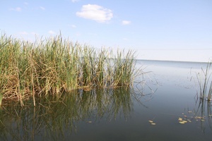 Lac de Guiers