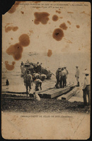 Pointe-à-Pitre - Embarquement des billes de bois