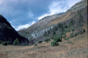 Evolution des paysages dans le Vicdessos