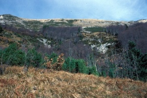 Evolution des paysages dans le Vicdessos
