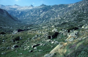 Evolution des paysages dans le Vicdessos