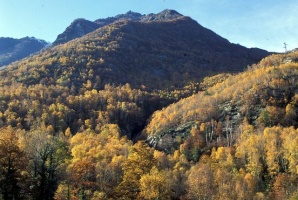 Evolution des paysages dans le Vicdessos