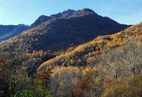 Evolution des paysages dans le Vicdessos