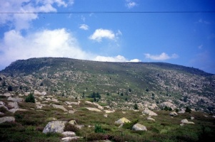 Evolution des paysages dans le Vicdessos