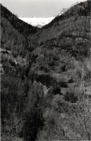 Evolution des paysages dans le Vicdessos