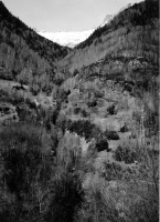 Evolution des paysages dans le Vicdessos