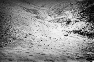 Evolution des paysages dans le Vicdessos