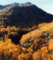 Evolution des paysages dans le Vicdessos
