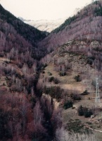 Evolution des paysages dans le Vicdessos