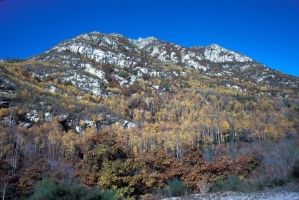 Evolution des paysages dans le Vicdessos