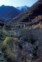 Evolution des paysages dans le Vicdessos