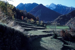 Evolution des paysages dans le Vicdessos