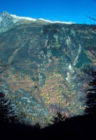 Evolution des paysages dans le Vicdessos