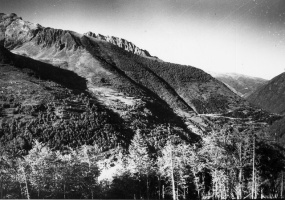 Evolution des paysages dans le Vicdessos