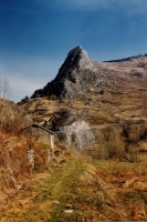 Evolution des paysages dans le Vicdessos