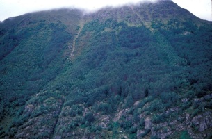 Evolution des paysages dans le Vicdessos