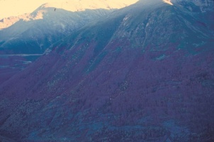 Evolution des paysages dans le Vicdessos