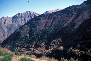 Evolution des paysages dans le Vicdessos