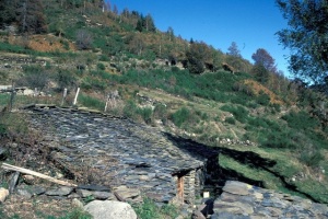 Evolution des paysages dans le Vicdessos