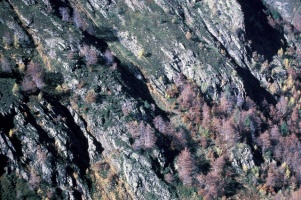 Evolution des paysages dans le Vicdessos