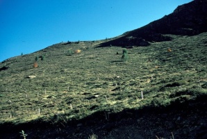 Evolution des paysages dans le Vicdessos