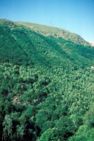 Evolution des paysages dans le Vicdessos