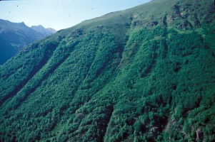 Evolution des paysages dans le Vicdessos