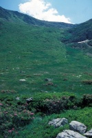 Evolution des paysages dans le Vicdessos