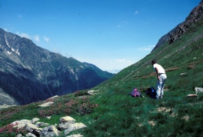 Evolution des paysages dans le Vicdessos