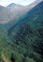 Evolution des paysages dans le Vicdessos