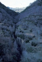Evolution des paysages dans le Vicdessos