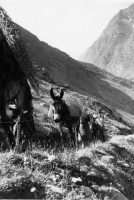 Evolution des paysages dans le Vicdessos