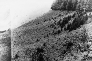 Evolution des paysages dans le Vicdessos