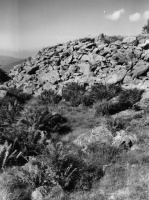Evolution des paysages dans le Vicdessos