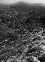 Evolution des paysages dans le Vicdessos