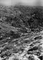 Evolution des paysages dans le Vicdessos