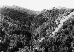 Evolution des paysages dans le Vicdessos