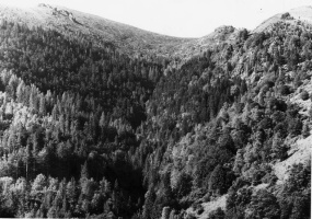 Evolution des paysages dans le Vicdessos