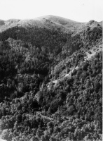 Evolution des paysages dans le Vicdessos