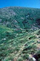 Evolution des paysages dans le Vicdessos