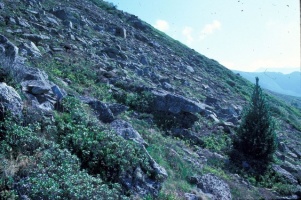 Evolution des paysages dans le Vicdessos