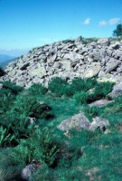 Evolution des paysages dans le Vicdessos