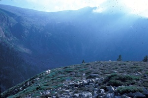 Evolution des paysages dans le Vicdessos