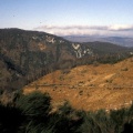 Evolution des paysages dans le Vicdessos