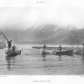 Pêche au sauret (1900)