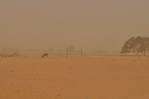 Paysage tempête de sable
