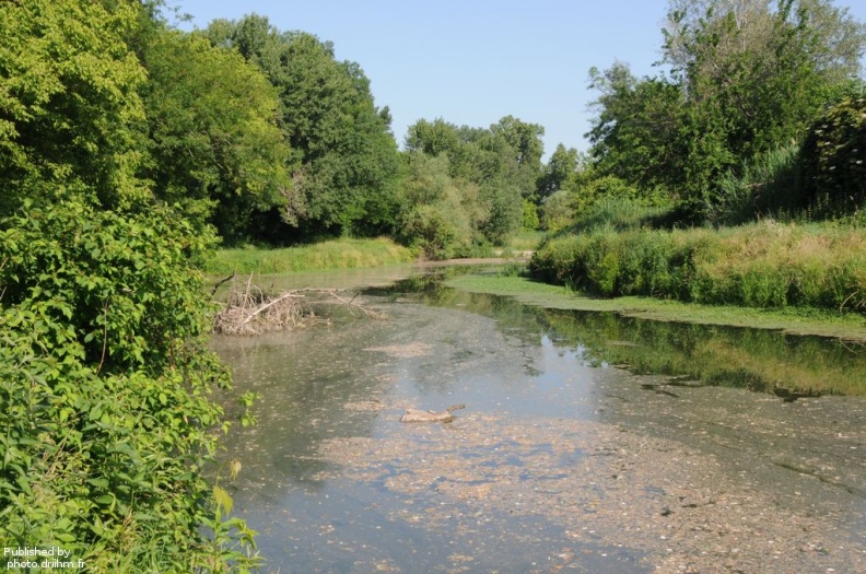 Grange écrasée Intermédiaire - Grange_écrasée_Intermédiaire.JPG Grange_écrasée_Intermédiaire.JPG