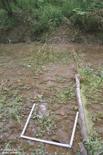 ? imm022.jpg